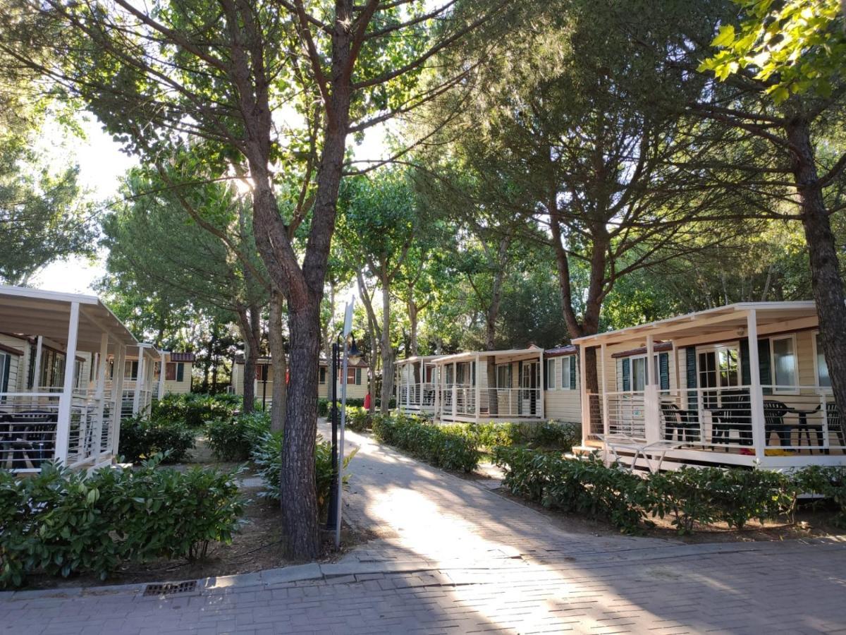 Badiaccia Village Camping Castiglione del Lago Esterno foto